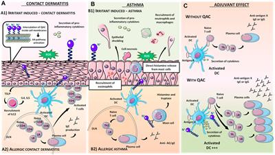 Quaternary ammonium compounds in hypersensitivity reactions